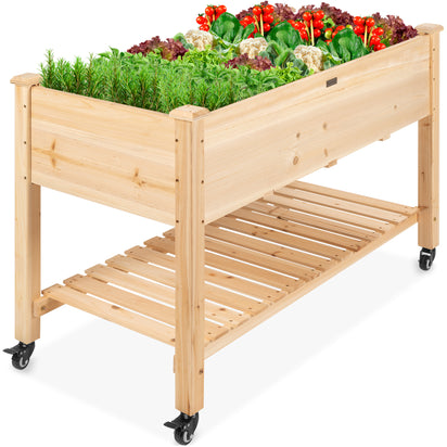 Raised Garden Bed Elevated Planter