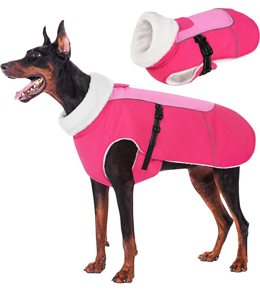 Winter Dog Coat (size Large)